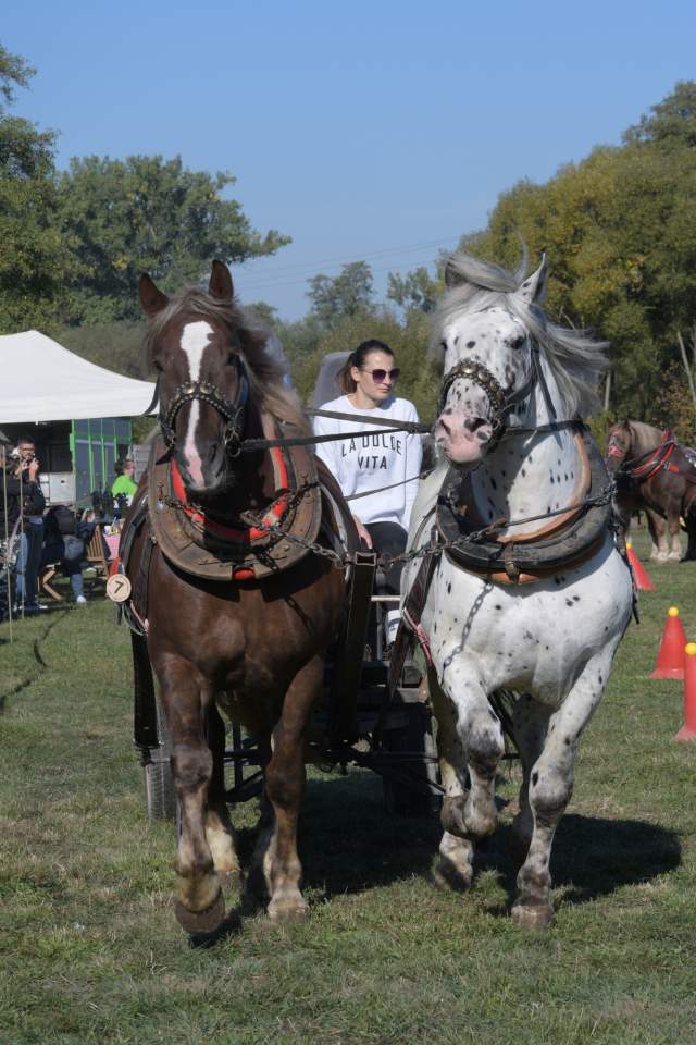 DSC_8835